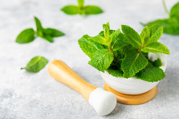 Fresh mint with mortar and pestle on wooden background. Melissa leaves. Healing herbs green mint...