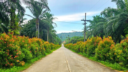 Road to Paradise: A picturesque road winding through a vibrant landscape of lush greenery, flanked by colorful flowering bushes. a sense of serenity and an invitation to embark on a journey.