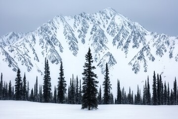 Fototapeta premium Majestic Snow-Covered Mountains and Evergreen Forest Landscape