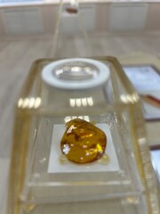 Close-up of an amber fossil encased in a transparent protective glass case in a museum exhibit....
