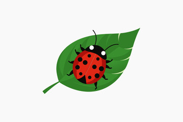 ladybug on green leaf
