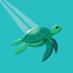 Green sea turtle swimming in crystal clear water