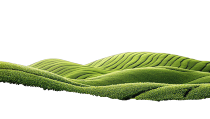 Rolling green hills, terraced fields