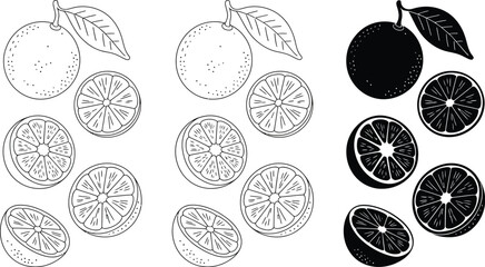 Oranges and orange slices in line art and solid black illustration style