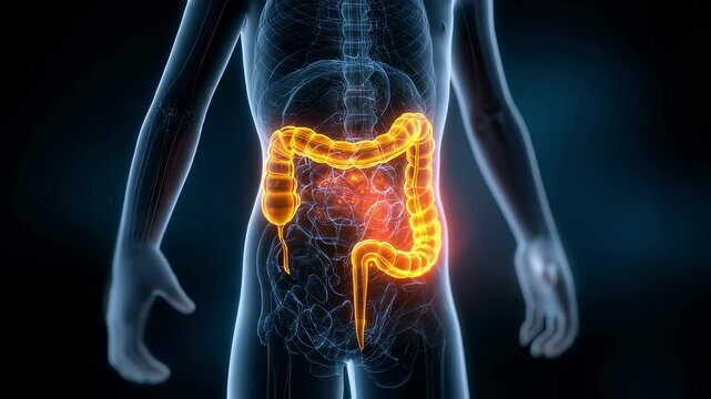 Detailed medical animation revealing complex inflammation process of appendix within child's abdominal region. Displaying internal anatomical changes through dynamic glowing visualization techniques