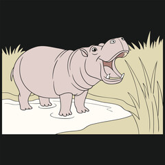 hippopotamus vector 