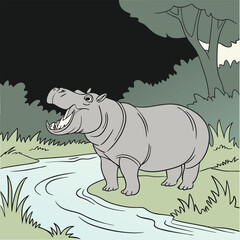 hippopotamus vector 