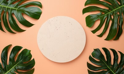 Modern Minimalist Design with Circular Stone and Tropical Leaves