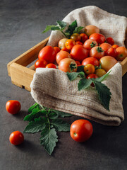Freshly Harvested Tomatoes in Wooden Basket with Green Leaves on Dark Table