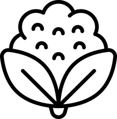 Cauliflower Vector Icon Stock Illustration