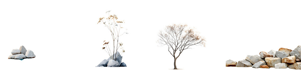 Obraz premium Minimalist natural landscape with plants and rocks