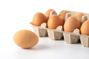 Fresh Brown Eggs in Carton with Single Egg on White Background