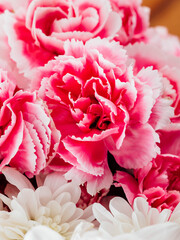 Close-Up of Vibrant Pink Carnations and White Flowers Arrangement