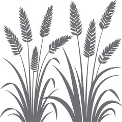Gray Silhouette of Tall Grass and Wheat Stalks on White Background Simple Nature Illustration Botanical Design Element