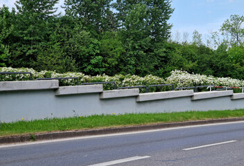 Massive concrete retaining wall by the road with tubular railing. Flowering bushes in the...
