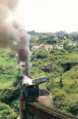 Fototapeta premium Mountain train, Ooty, Tamil Nadu, India