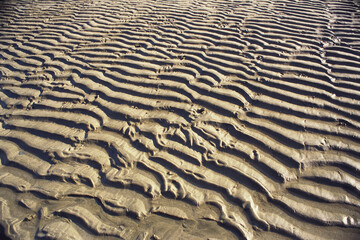 Sand pattern in Chiriyatapu, Andaman Islands, India