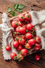 Fresh Red Tomatoes Gathered in Rustic Wooden Basket with Towels