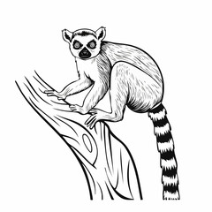 Lemur on tree image vector Isolated on white Background. © kalogr