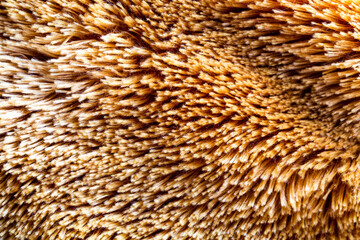 Textured Close-up of Soft Brown Fur for Natural Background Use
