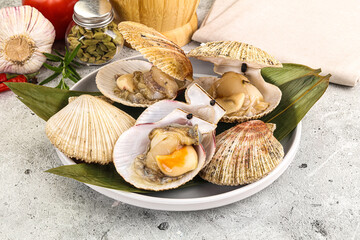 Raw fresh scallops in the shell