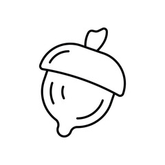 Acorn  Icon vector