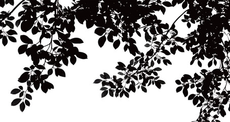 Fototapeta premium Silhouetted leaves against a bright backdrop, creating a serene and natural view.