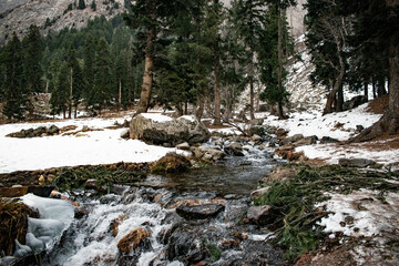 river in the mountains