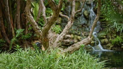 Lush greenery framing a tranquil tropical resort's serene garden with blurred background waterfall, evoking peaceful luxury in an idyllic outdoor retreat.