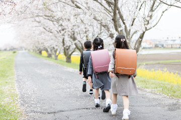 入学式イメージ　桜並木を歩く新一年生
