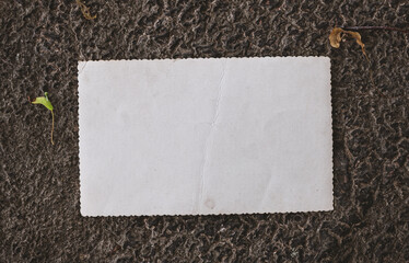 Vintage empty paper on the old wooden bark of tree background