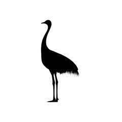 Ostrich silhouette vector