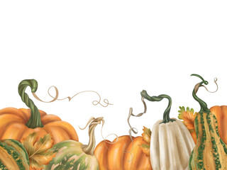 Frame of autumn harvest of ripe pumpkin. Fresh farm vegetables, healthy organic food, vegetarianism. Garden plants, agriculture, seasonal plants. Nature, agronomy rural life. Isolated illustration