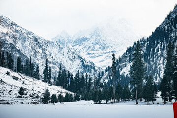 winter landscape