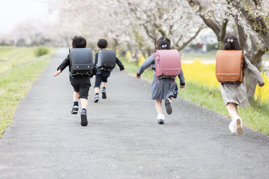 入学式イメージ 走る一年生
- Powered by Adobe