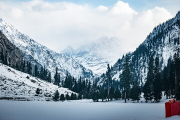 winter landscape