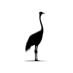Ostrich silhouette vector