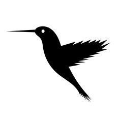 hummingbird silhouette vector illustration on isolated white background