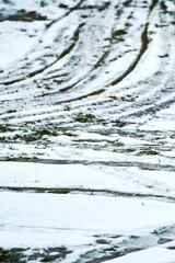 Winter ending with snow melting on grass