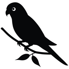 Elegant Parrot Silhouette A Black and White Bird Illustration