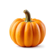 Obraz premium Studio Shot of a Small Orange Pumpkin On White