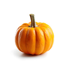 Studio Shot of a Small Orange Pumpkin On White