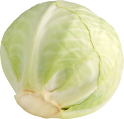 Fototapeta premium Cabbage Without Background