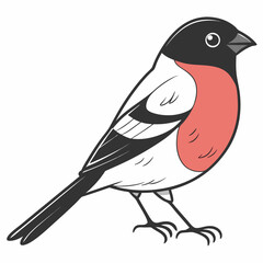 vector illustration of a bird