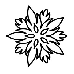 Handdrawn floral style illustration