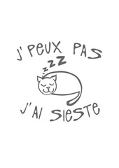 sieste je peux pas chat dort citation humour