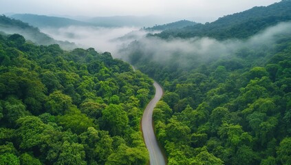 Winding road through lush green forest shrouded in misty mountains. Aerial view