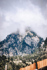 mountain landscape with snow covered trees