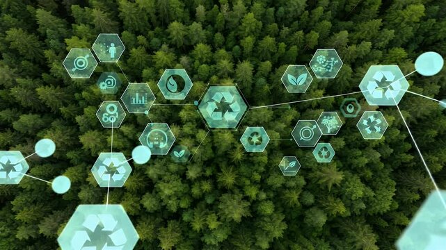 Sustainable forest management, interconnected symbols