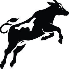 Black and white cow jumping isolated on white background